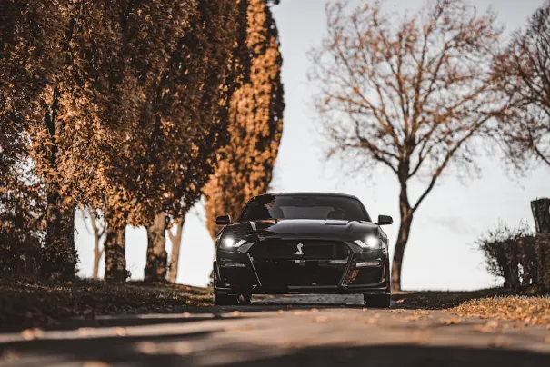 افبيايتي كازينو تطبيق أندرويد/آي أو إس